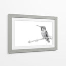Colibrí - DIEGO D L | Cuadro decorativo de Canvas Lab