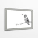 Colibrí - DIEGO D L | Cuadro decorativo de Canvas Lab