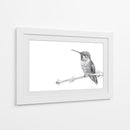 Colibrí - DIEGO D L | Cuadro decorativo de Canvas Lab