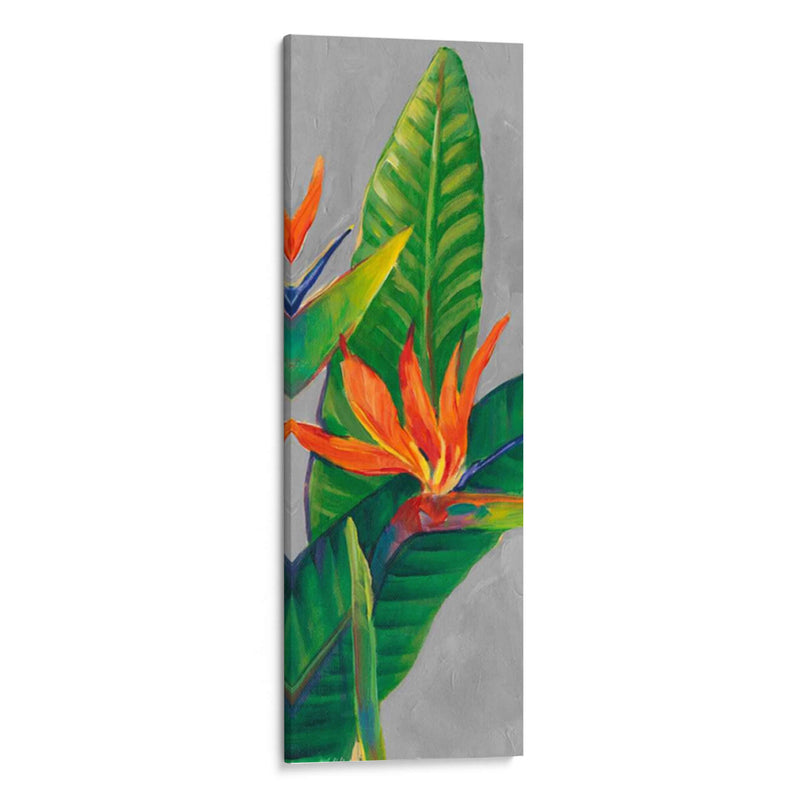 Pájaro Del Paraíso Tríptico Iii - Tim OToole | Cuadro decorativo de Canvas Lab