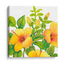 Acuarela Hibiscus I - Tim OToole | Cuadro decorativo de Canvas Lab