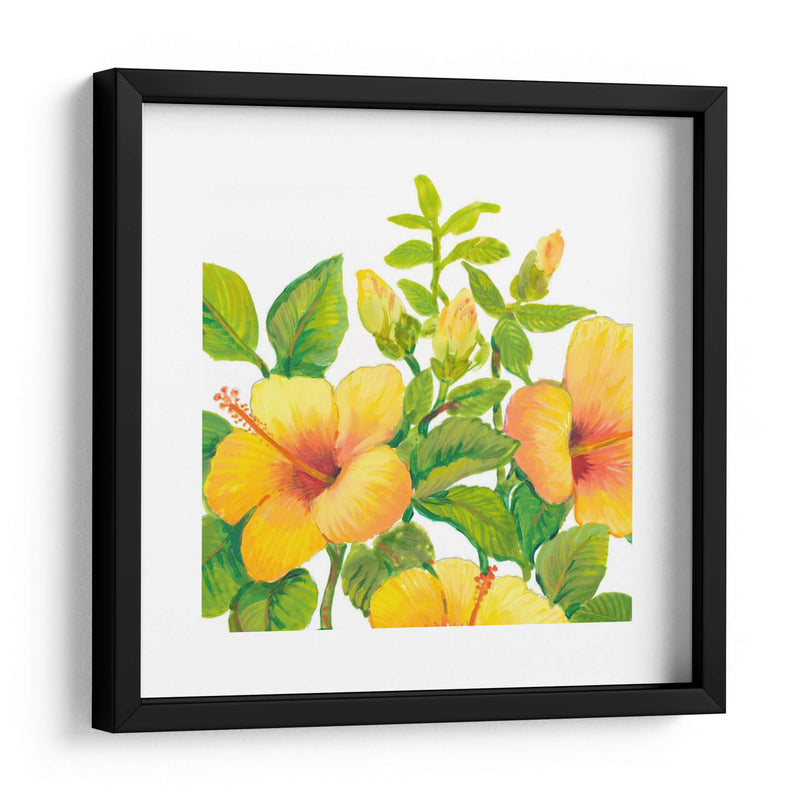 Acuarela Hibiscus I - Tim OToole | Cuadro decorativo de Canvas Lab