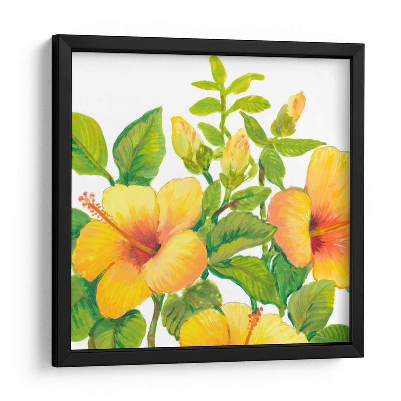 Acuarela Hibiscus I - Tim OToole | Cuadro decorativo de Canvas Lab