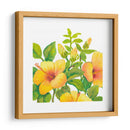 Acuarela Hibiscus I - Tim OToole | Cuadro decorativo de Canvas Lab
