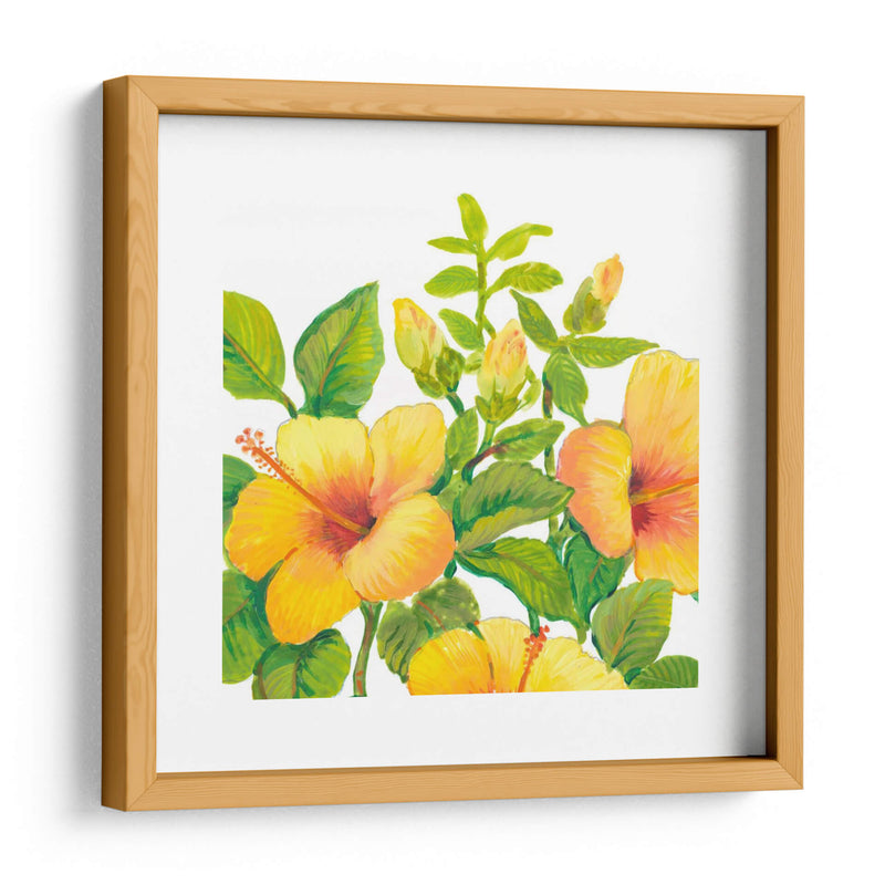 Acuarela Hibiscus I - Tim OToole | Cuadro decorativo de Canvas Lab