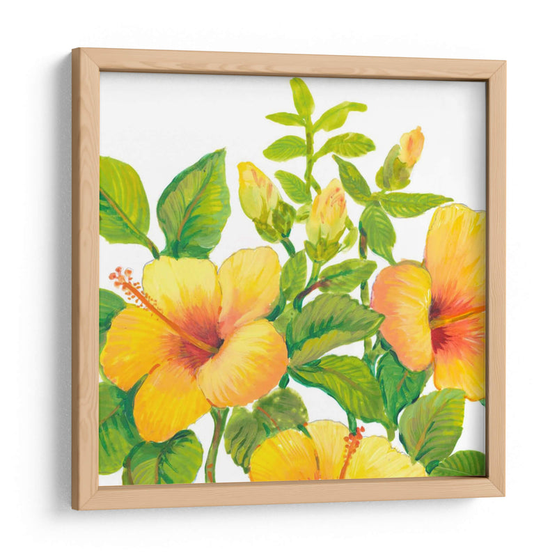 Acuarela Hibiscus I - Tim OToole | Cuadro decorativo de Canvas Lab