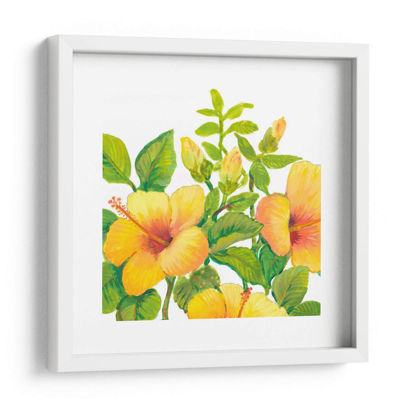 Acuarela Hibiscus I - Tim OToole | Cuadro decorativo de Canvas Lab