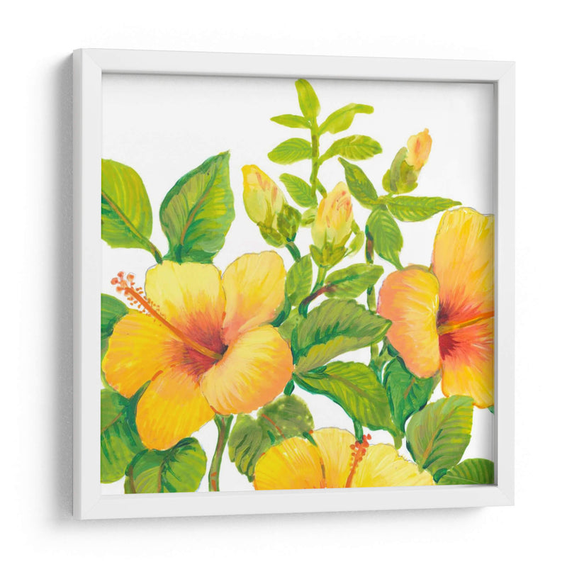 Acuarela Hibiscus I - Tim OToole | Cuadro decorativo de Canvas Lab