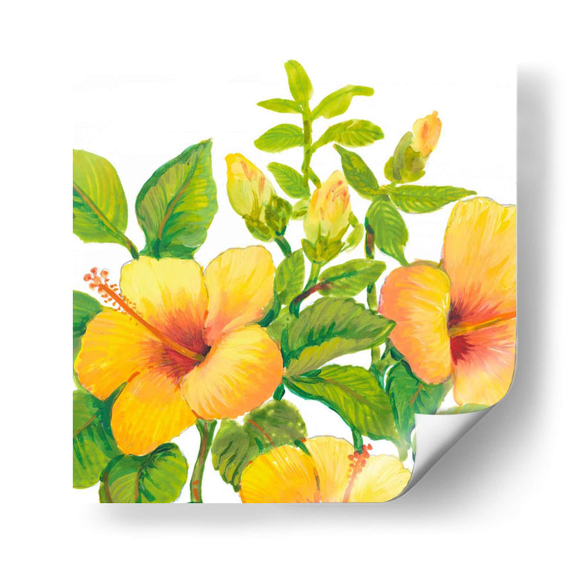 Acuarela Hibiscus I - Tim OToole | Cuadro decorativo de Canvas Lab