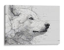 Lobo solitario - DIEGO D L | Cuadro decorativo de Canvas Lab