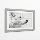 Lobo solitario - DIEGO D L | Cuadro decorativo de Canvas Lab