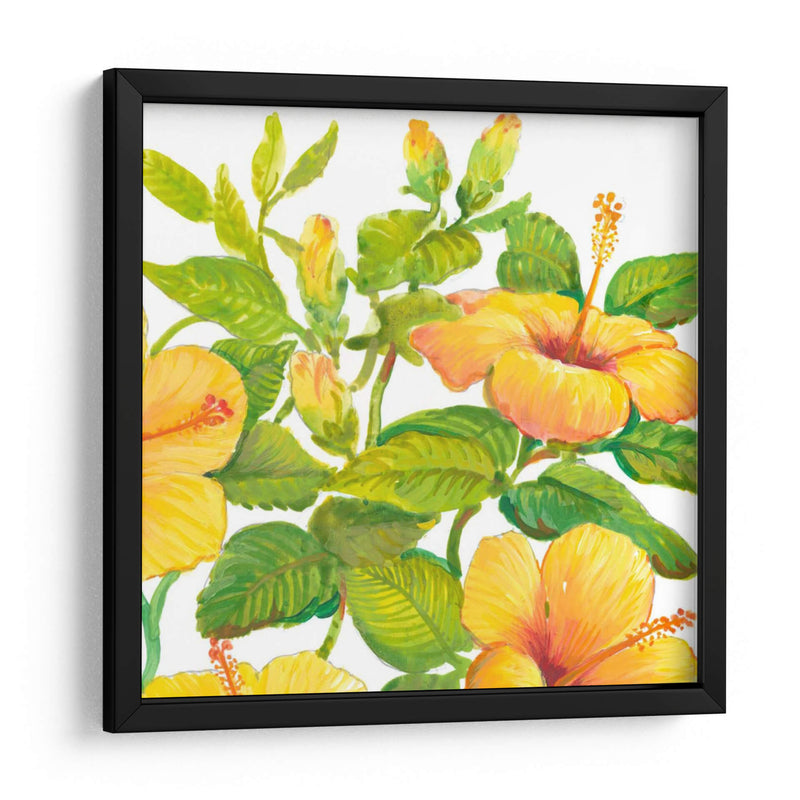 Acuarela Hibiscus Ii - Tim OToole | Cuadro decorativo de Canvas Lab