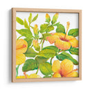 Acuarela Hibiscus Ii - Tim OToole | Cuadro decorativo de Canvas Lab