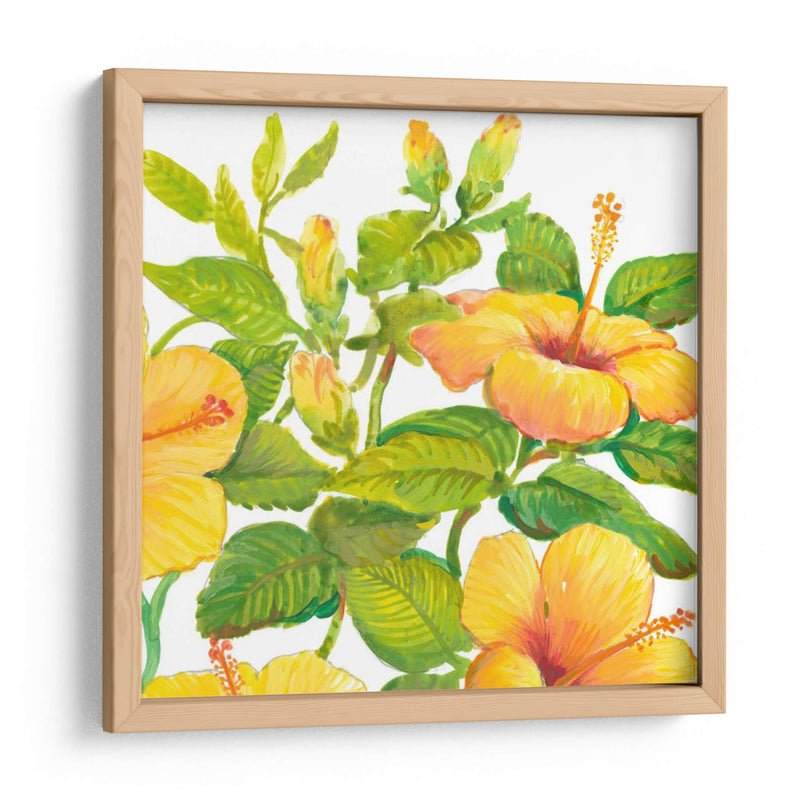 Acuarela Hibiscus Ii - Tim OToole | Cuadro decorativo de Canvas Lab