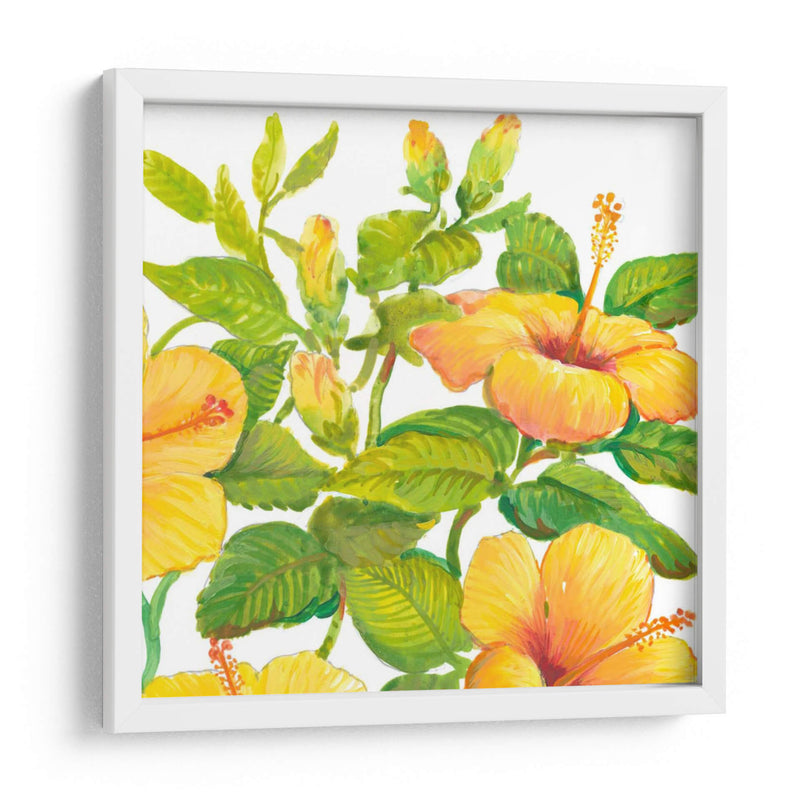 Acuarela Hibiscus Ii - Tim OToole | Cuadro decorativo de Canvas Lab