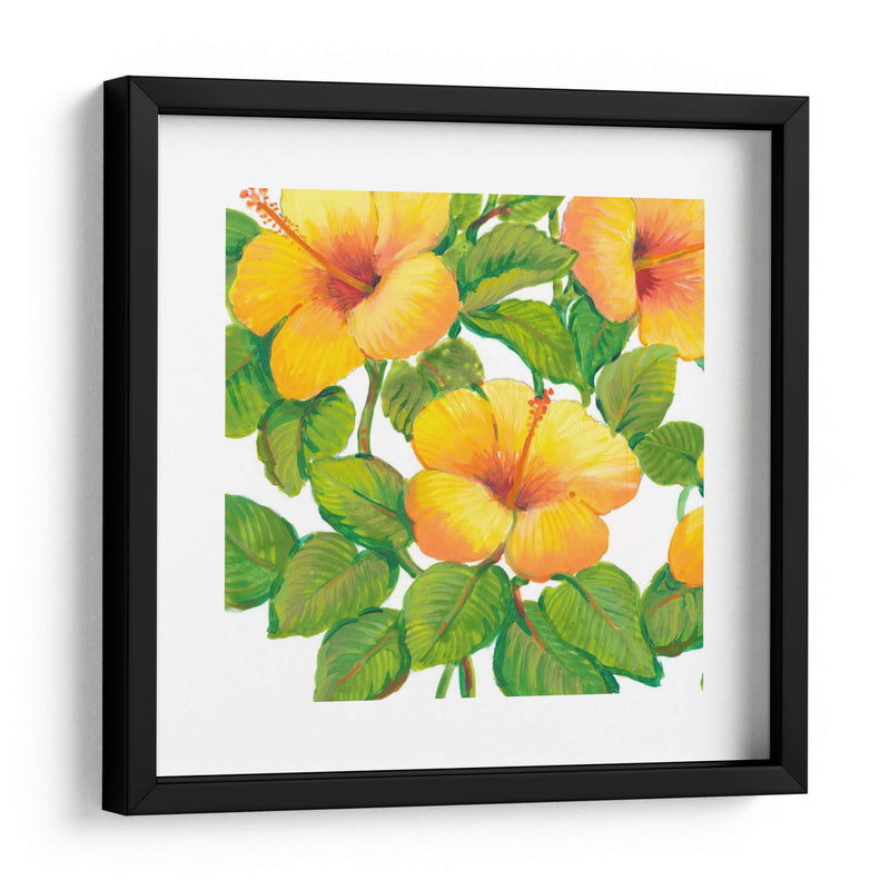 Acuarela Hibiscus Iii - Tim OToole | Cuadro decorativo de Canvas Lab