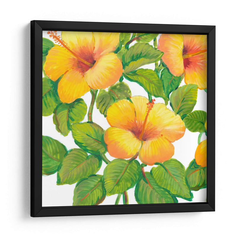 Acuarela Hibiscus Iii - Tim OToole | Cuadro decorativo de Canvas Lab