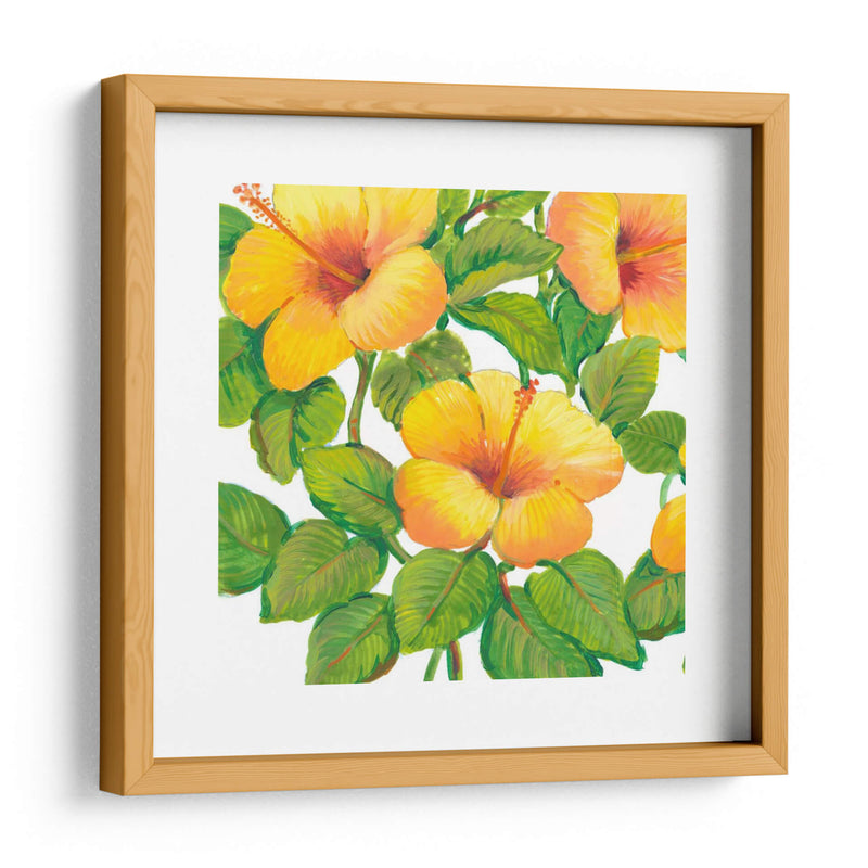 Acuarela Hibiscus Iii - Tim OToole | Cuadro decorativo de Canvas Lab