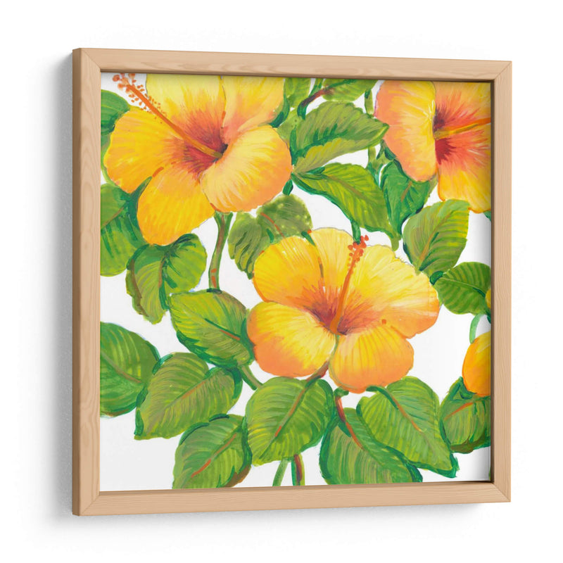 Acuarela Hibiscus Iii - Tim OToole | Cuadro decorativo de Canvas Lab