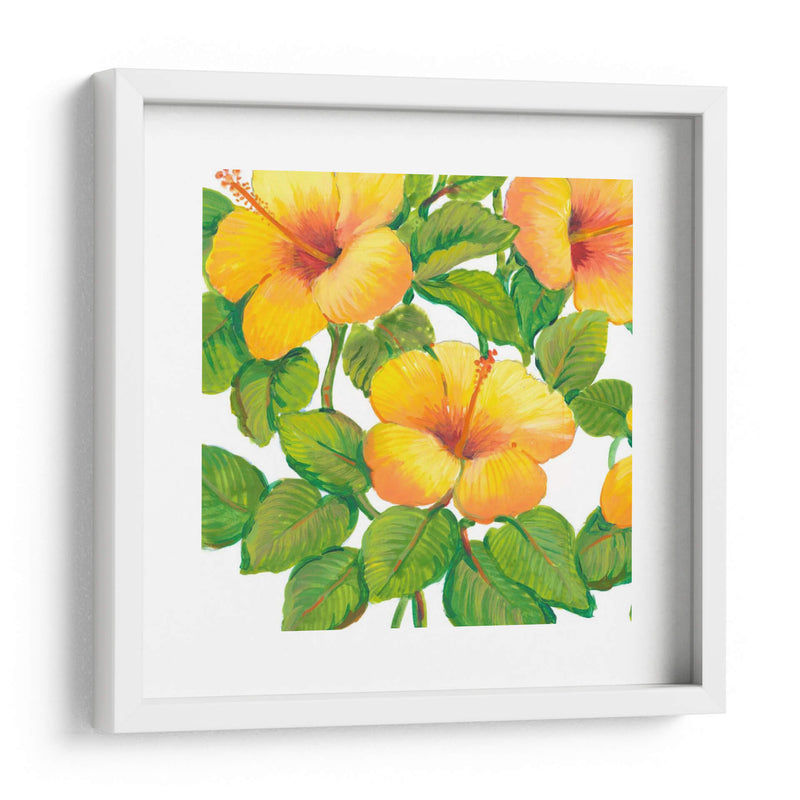 Acuarela Hibiscus Iii - Tim OToole | Cuadro decorativo de Canvas Lab