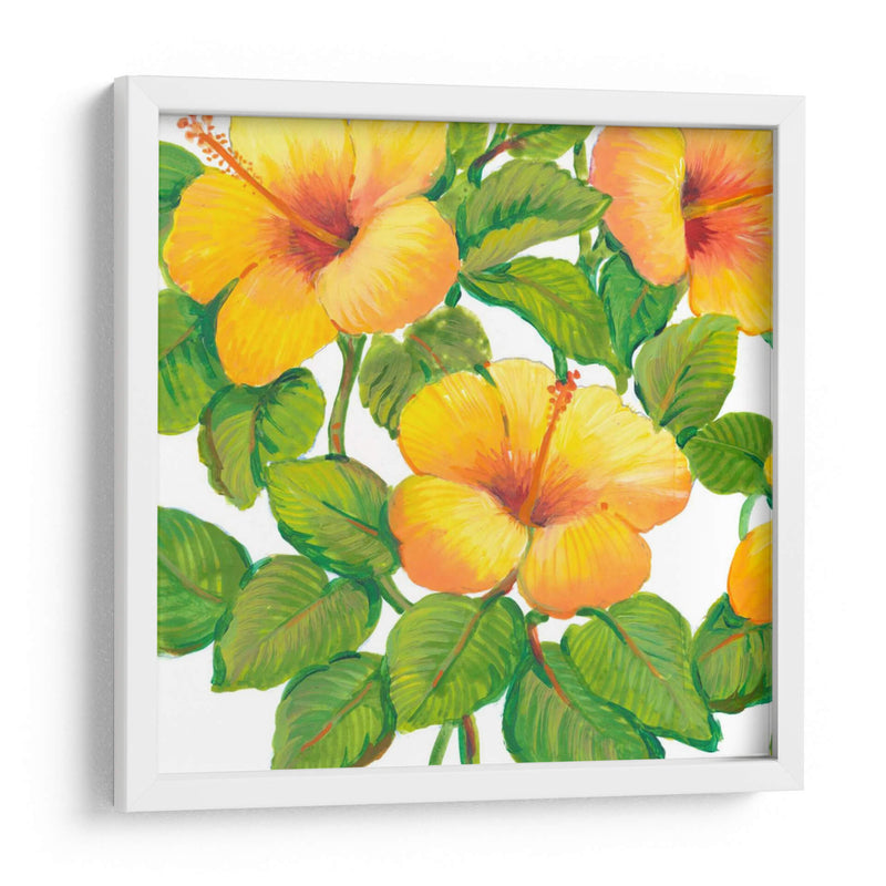 Acuarela Hibiscus Iii - Tim OToole | Cuadro decorativo de Canvas Lab