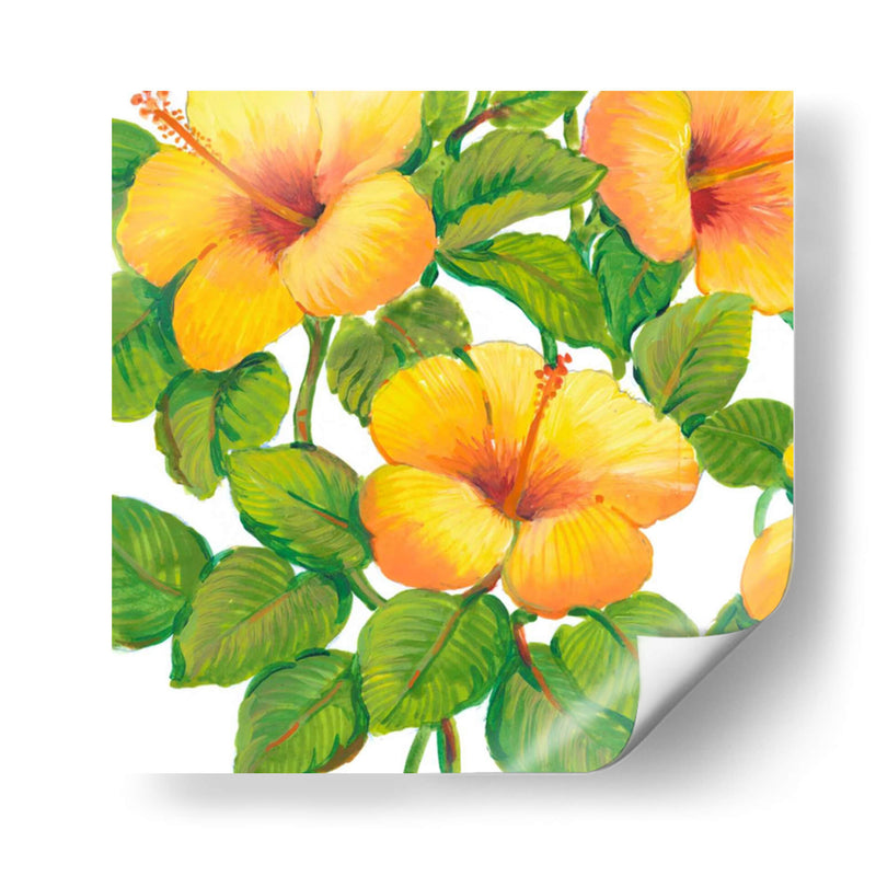 Acuarela Hibiscus Iii - Tim OToole | Cuadro decorativo de Canvas Lab