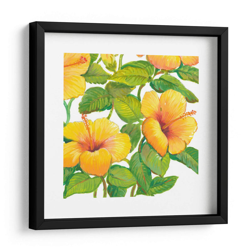 Acuarela Hibiscus Iv - Tim OToole | Cuadro decorativo de Canvas Lab