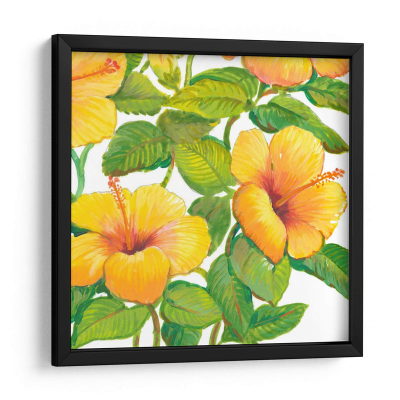 Acuarela Hibiscus Iv - Tim OToole | Cuadro decorativo de Canvas Lab