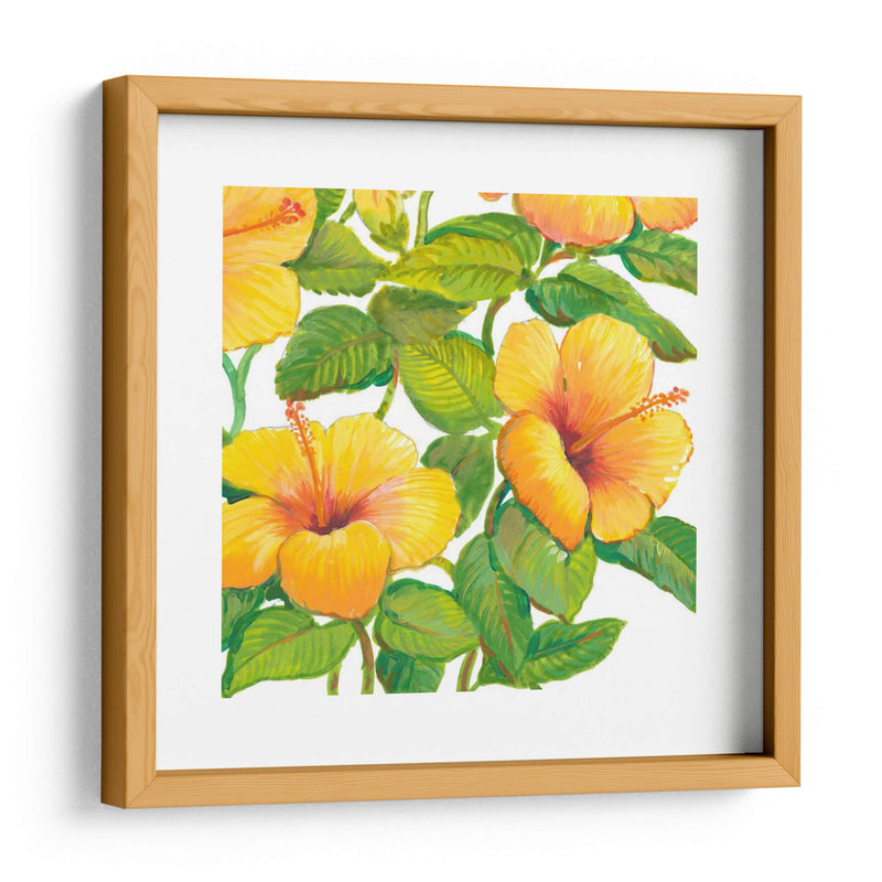 Acuarela Hibiscus Iv - Tim OToole | Cuadro decorativo de Canvas Lab