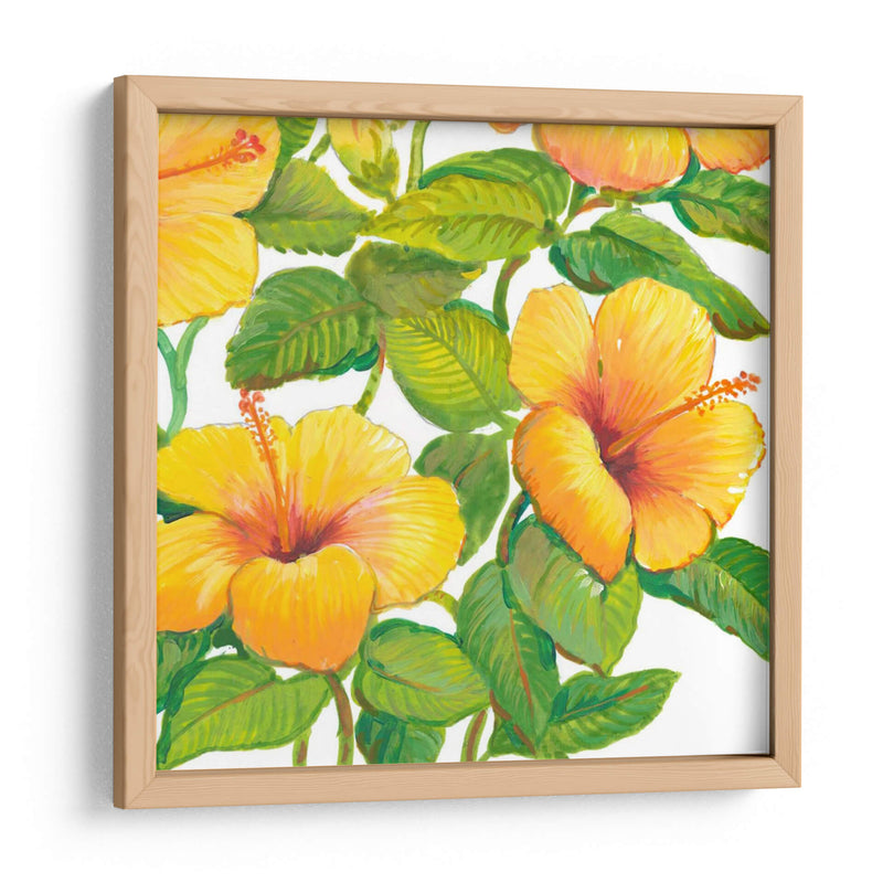 Acuarela Hibiscus Iv - Tim OToole | Cuadro decorativo de Canvas Lab