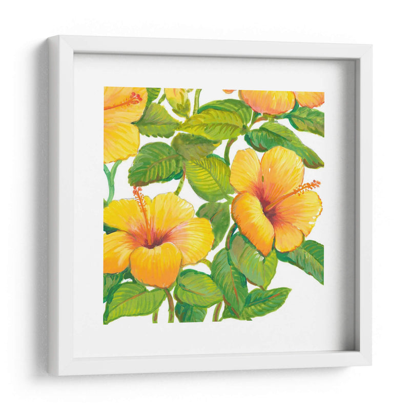 Acuarela Hibiscus Iv - Tim OToole | Cuadro decorativo de Canvas Lab