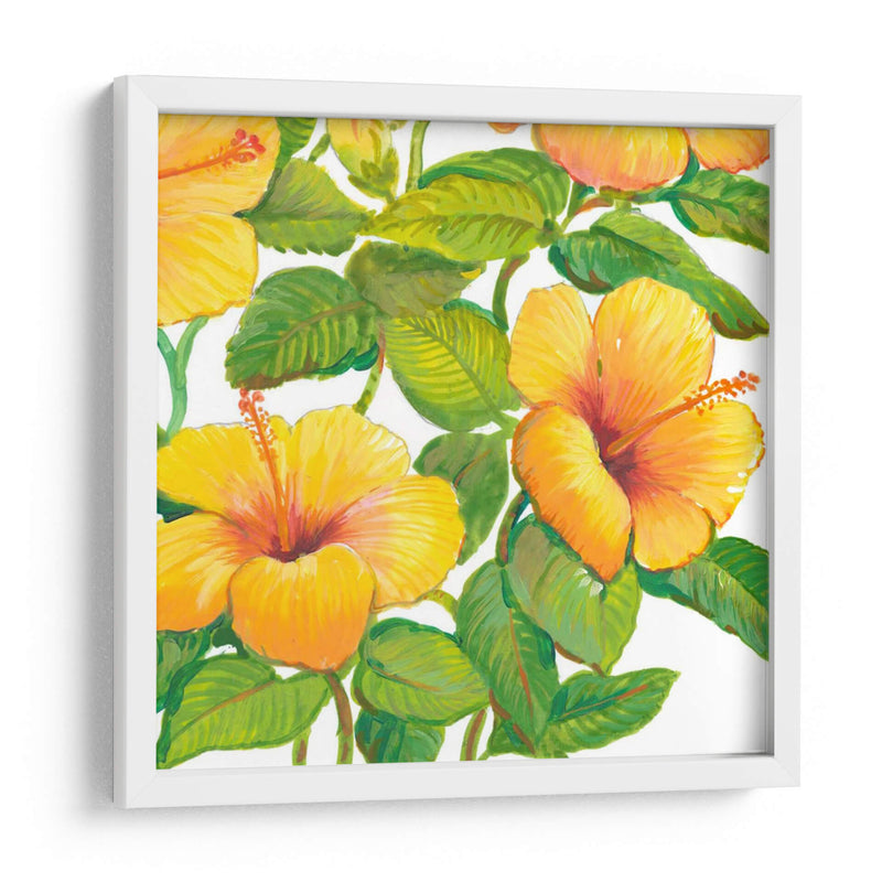 Acuarela Hibiscus Iv - Tim OToole | Cuadro decorativo de Canvas Lab