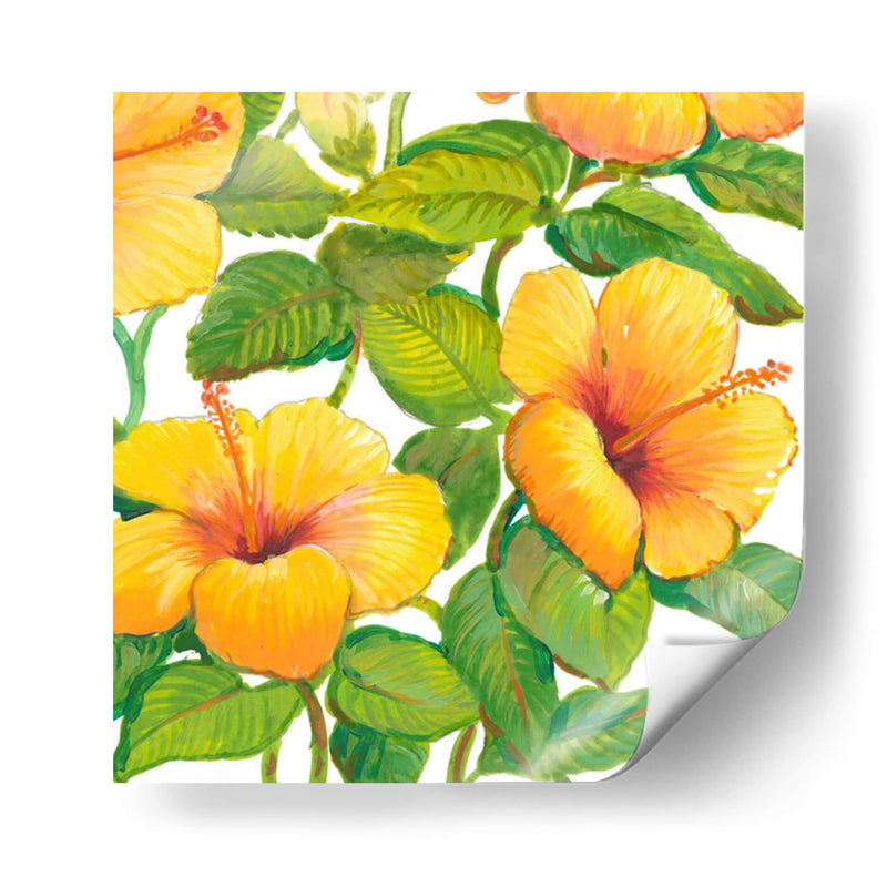 Acuarela Hibiscus Iv - Tim OToole | Cuadro decorativo de Canvas Lab