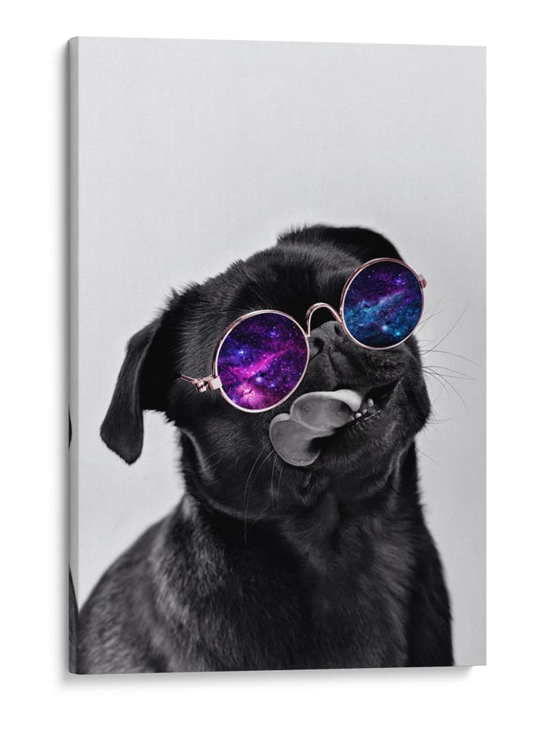 Pug Galáctico - Puffy Design | Cuadro decorativo de Canvas Lab