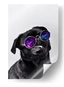 Pug Galáctico - Puffy Design | Cuadro decorativo de Canvas Lab