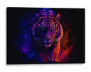 Tigre - Caperh | Cuadro decorativo de Canvas Lab