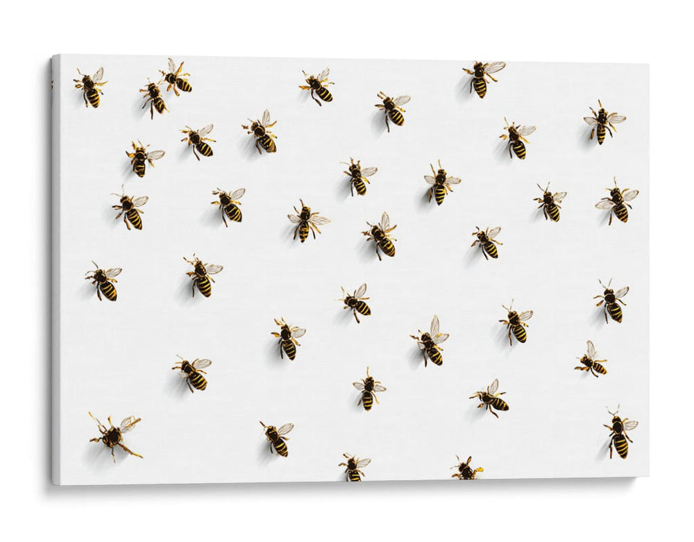 Distribución de abejas  - DIEGO D L | Cuadro decorativo de Canvas Lab