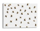 Distribución de abejas  - DIEGO D L | Cuadro decorativo de Canvas Lab