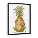 Boceto De Piña I - Ethan Harper | Cuadro decorativo de Canvas Lab