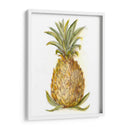 Boceto De Piña I - Ethan Harper | Cuadro decorativo de Canvas Lab
