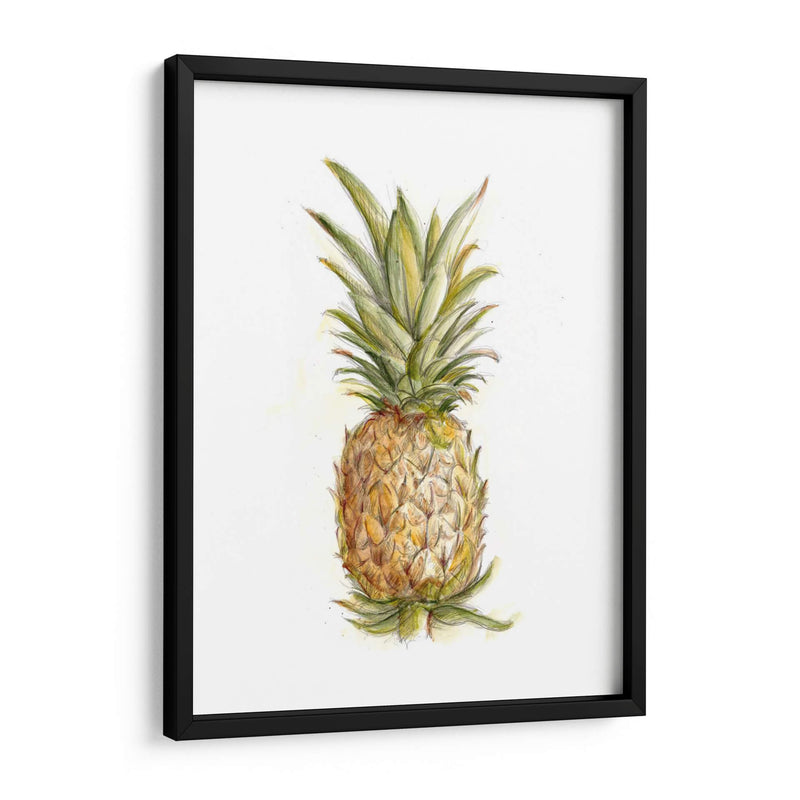 Boceto De Piña Ii - Ethan Harper | Cuadro decorativo de Canvas Lab