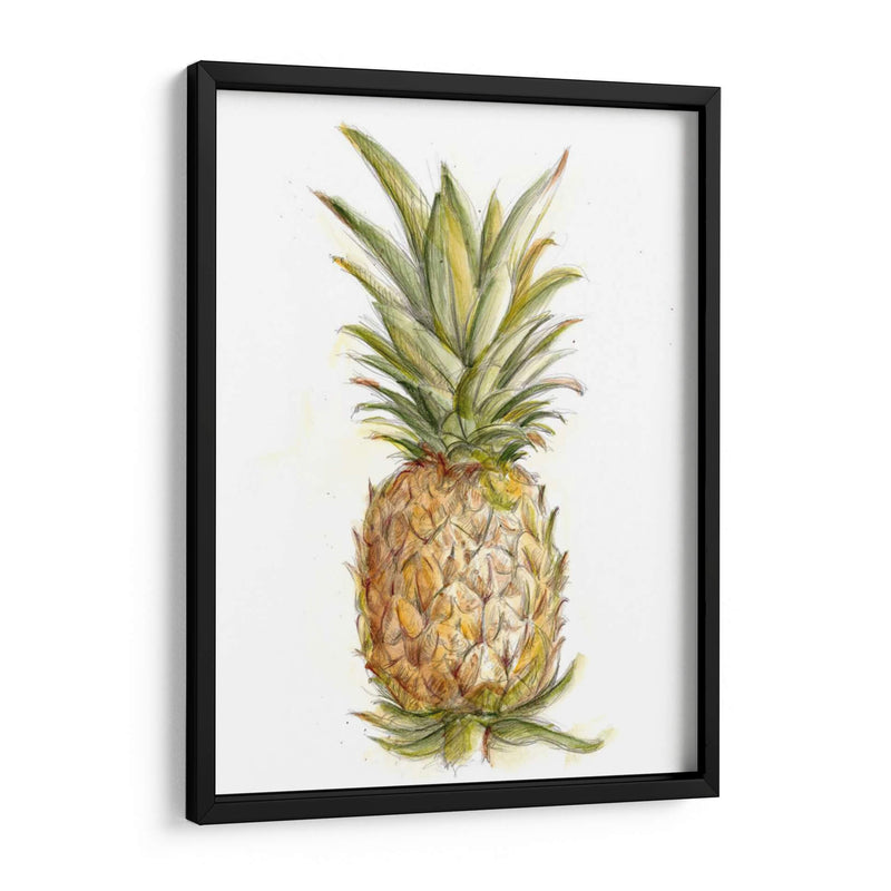 Boceto De Piña Ii - Ethan Harper | Cuadro decorativo de Canvas Lab