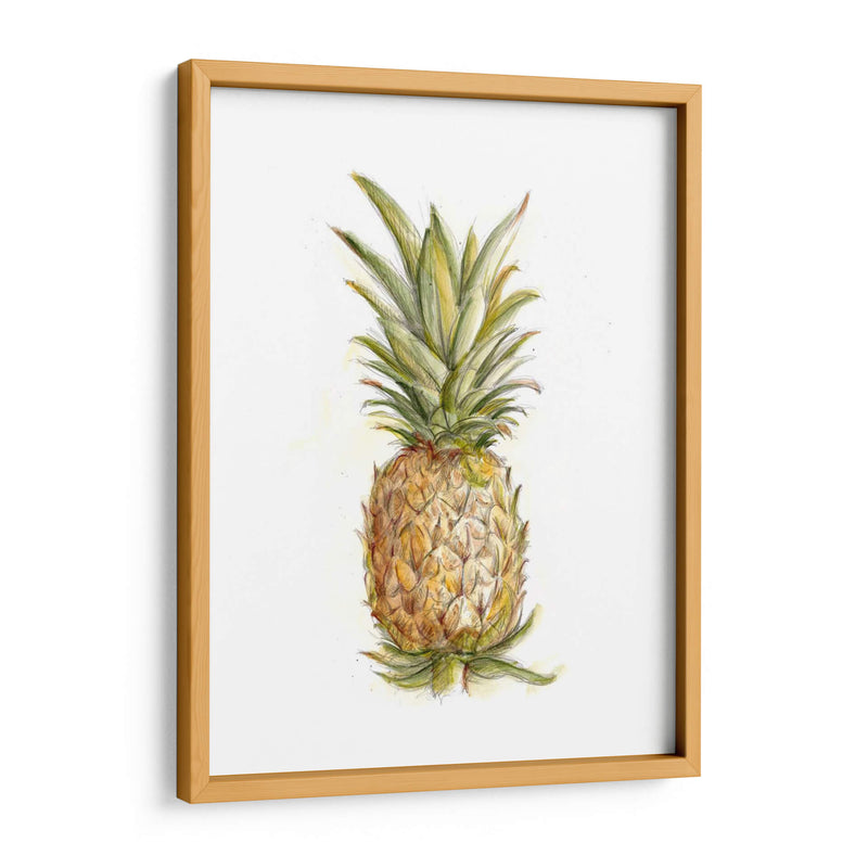 Boceto De Piña Ii - Ethan Harper | Cuadro decorativo de Canvas Lab