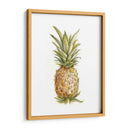 Boceto De Piña Ii - Ethan Harper | Cuadro decorativo de Canvas Lab