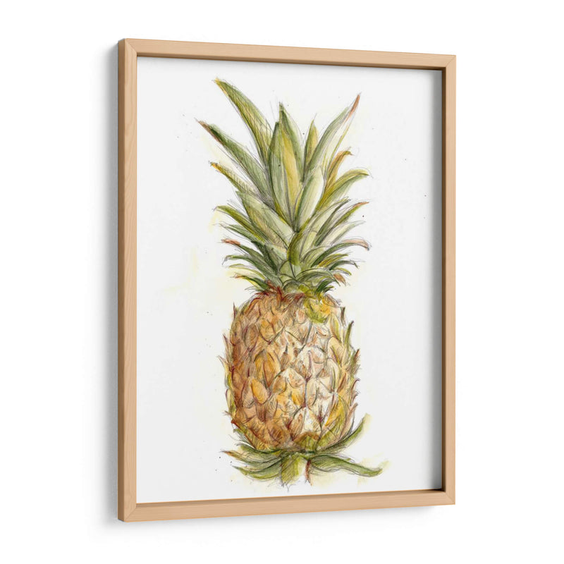 Boceto De Piña Ii - Ethan Harper | Cuadro decorativo de Canvas Lab