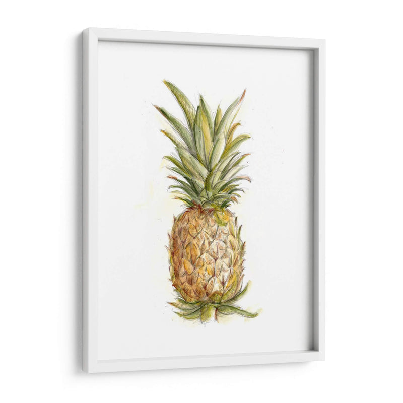 Boceto De Piña Ii - Ethan Harper | Cuadro decorativo de Canvas Lab