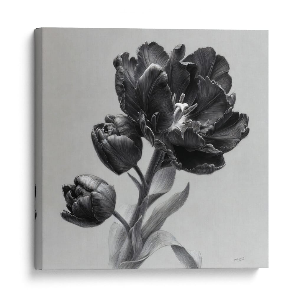 Flores escala de grises - DIEGO D L | Cuadro decorativo de Canvas Lab