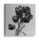 Flores escala de grises - DIEGO D L | Cuadro decorativo de Canvas Lab