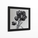 Flores escala de grises - DIEGO D L | Cuadro decorativo de Canvas Lab