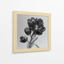 Flores escala de grises - DIEGO D L | Cuadro decorativo de Canvas Lab
